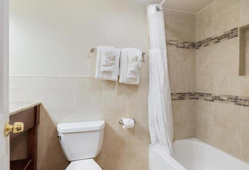 Andrew Jackson Hotel French Quarter