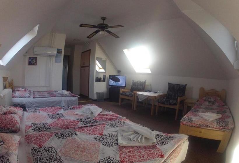 酒店 Olympos Panzió