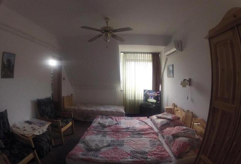 酒店 Olympos Panzió