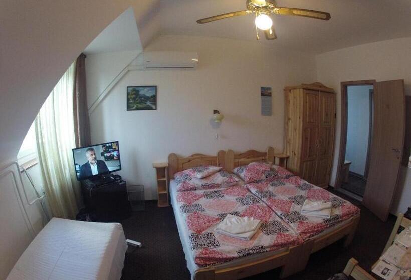 酒店 Olympos Panzió