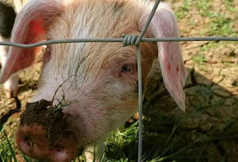 Отель The Moonraker