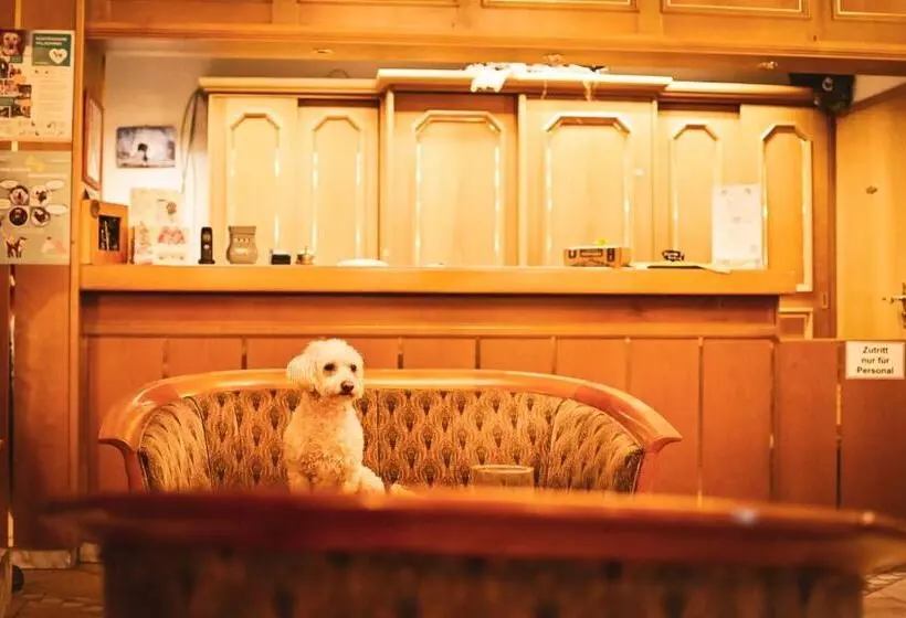 Berghotel Steiger Erzgebirge