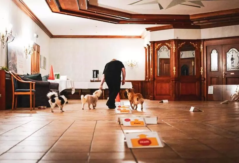 Berghotel Steiger Erzgebirge