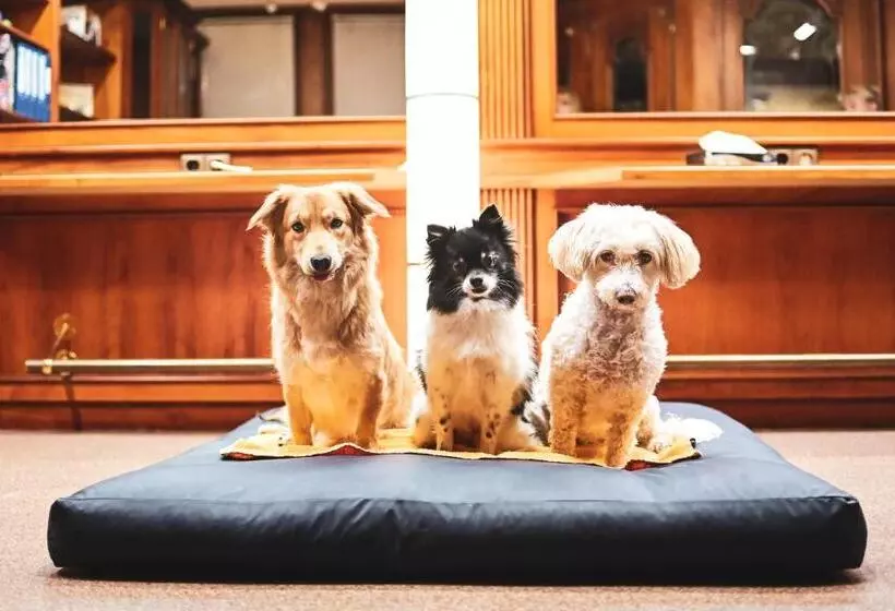 Berghotel Steiger Erzgebirge