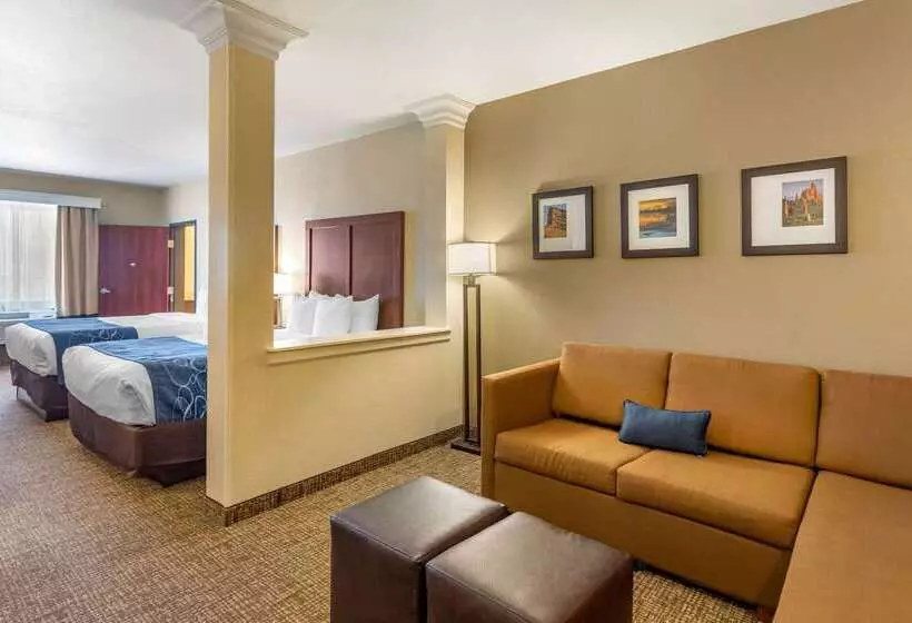 ホテル Comfort Suites Near Denver Downtown