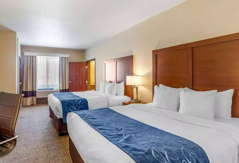 ホテル Comfort Suites Near Denver Downtown