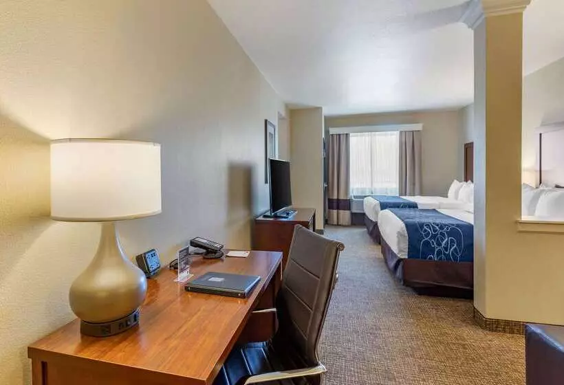 ホテル Comfort Suites Near Denver Downtown