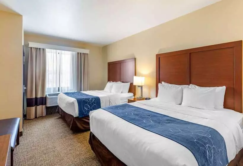 ホテル Comfort Suites Near Denver Downtown
