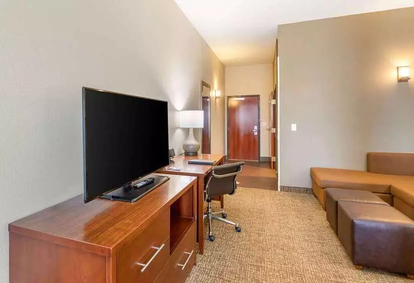 ホテル Comfort Suites Near Denver Downtown