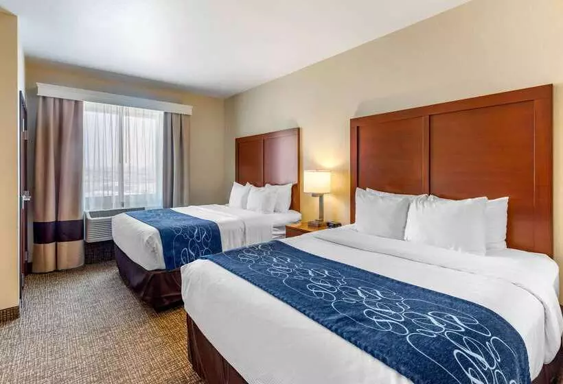 ホテル Comfort Suites Near Denver Downtown