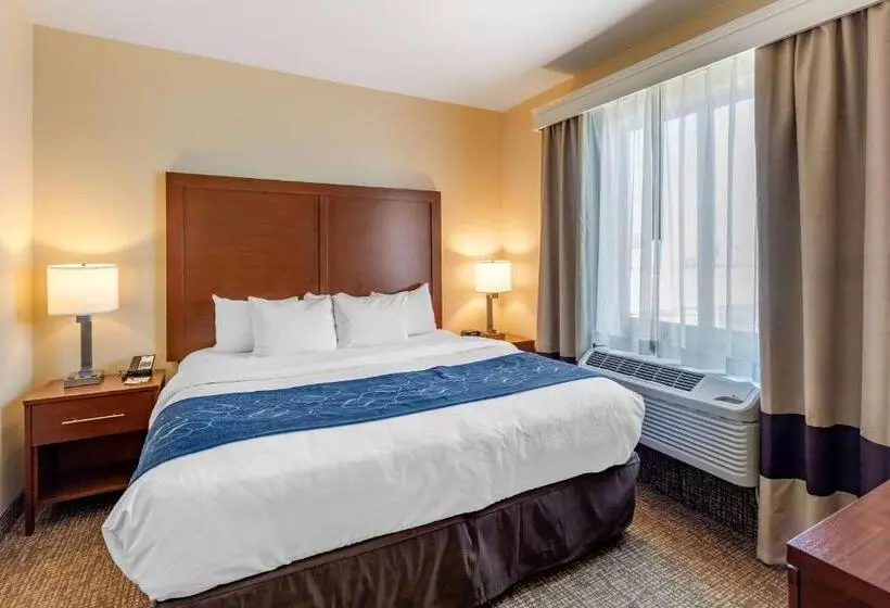 ホテル Comfort Suites Near Denver Downtown