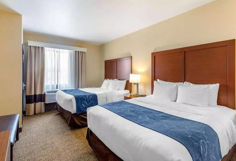 ホテル Comfort Suites Near Denver Downtown