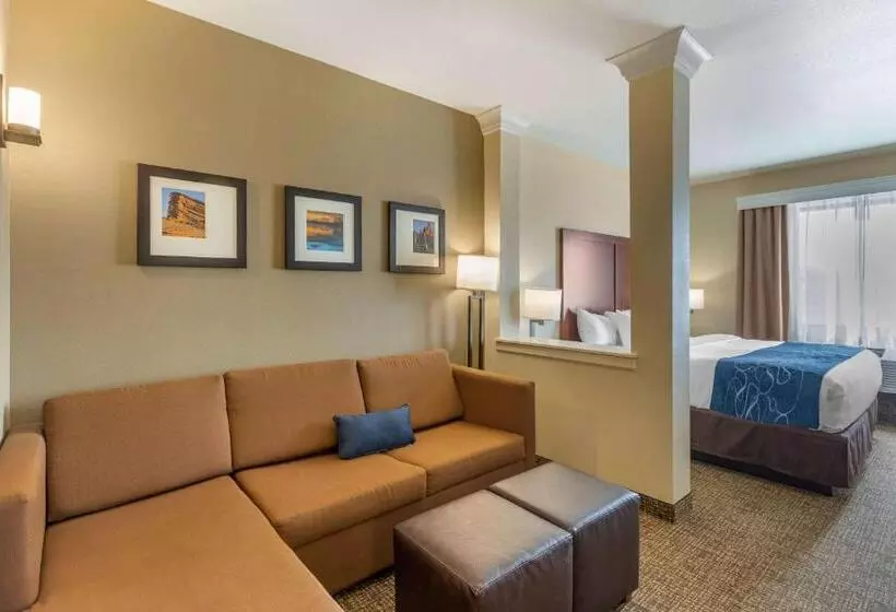 ホテル Comfort Suites Near Denver Downtown