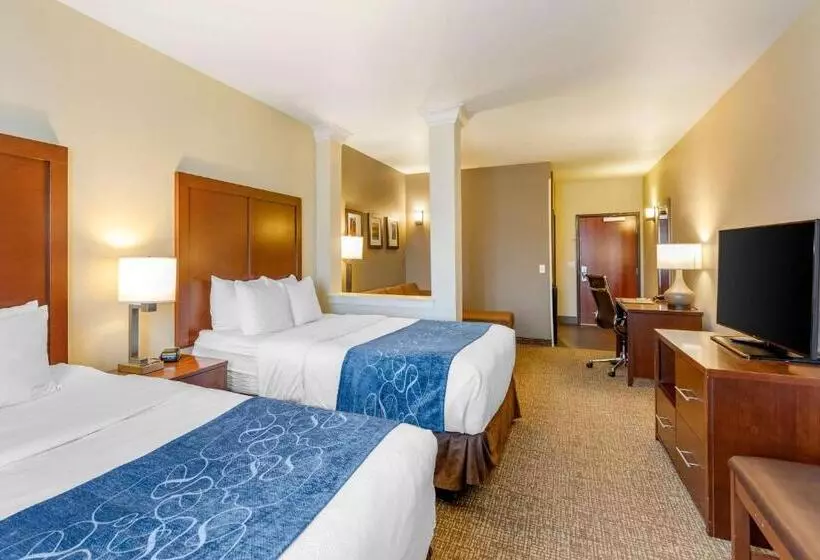 ホテル Comfort Suites Near Denver Downtown