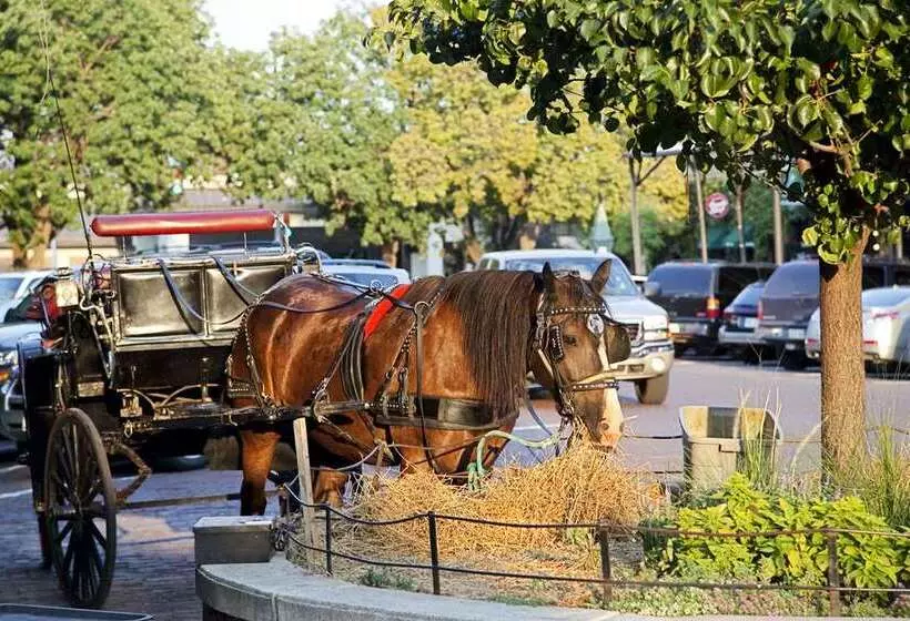 ホテル Embassy Suites By Hilton Omaha Downtown Old Market