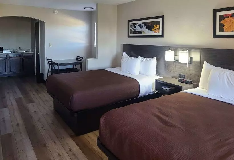 Hotel Quality Inn & Suites