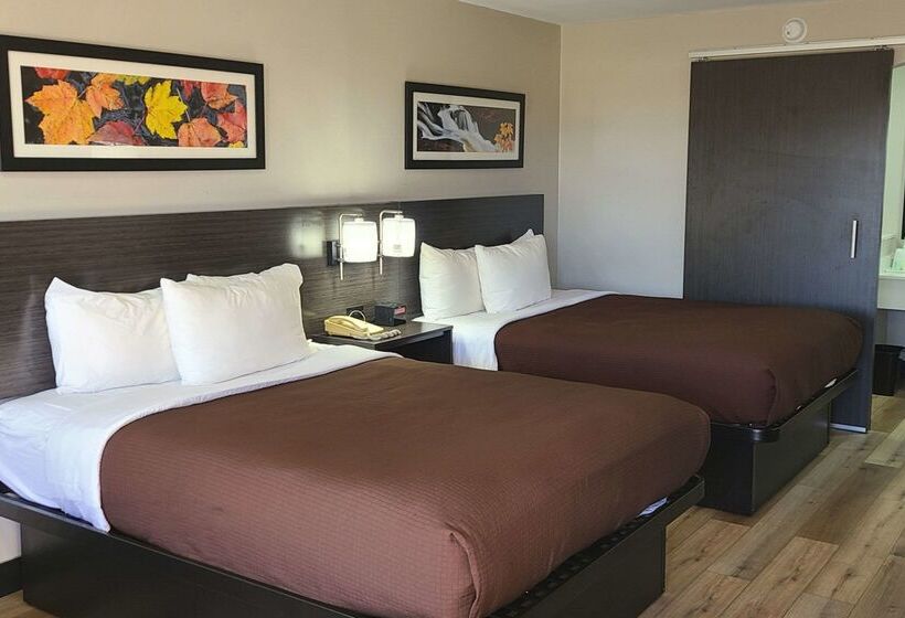 Hotel Quality Inn & Suites