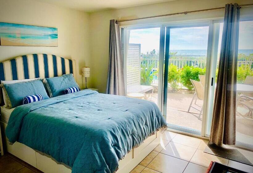 בית מלון כפרי The Beach On Longboat Key   Studio 103