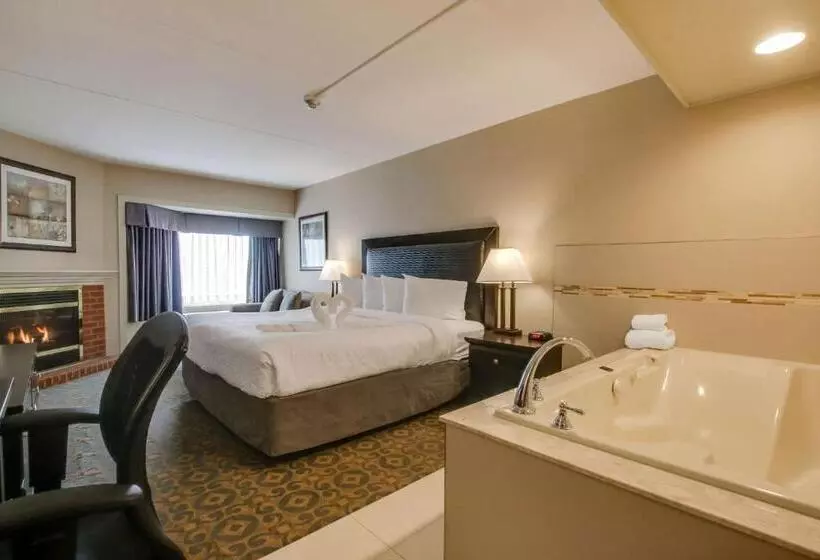 Best Western Brantford Hotel And Conference Centre