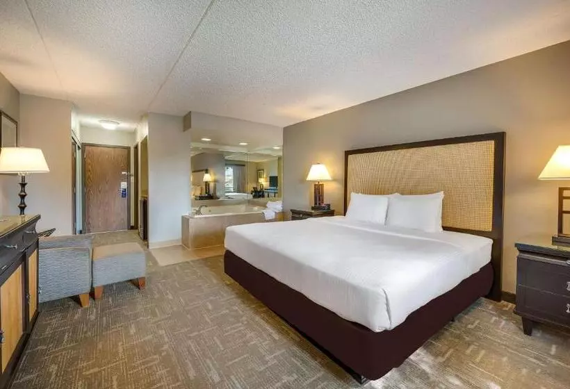 ホテル Best Western Detroit Livonia