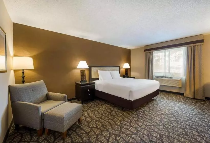 ホテル Best Western Detroit Livonia