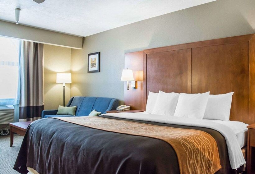 فندق Comfort Inn