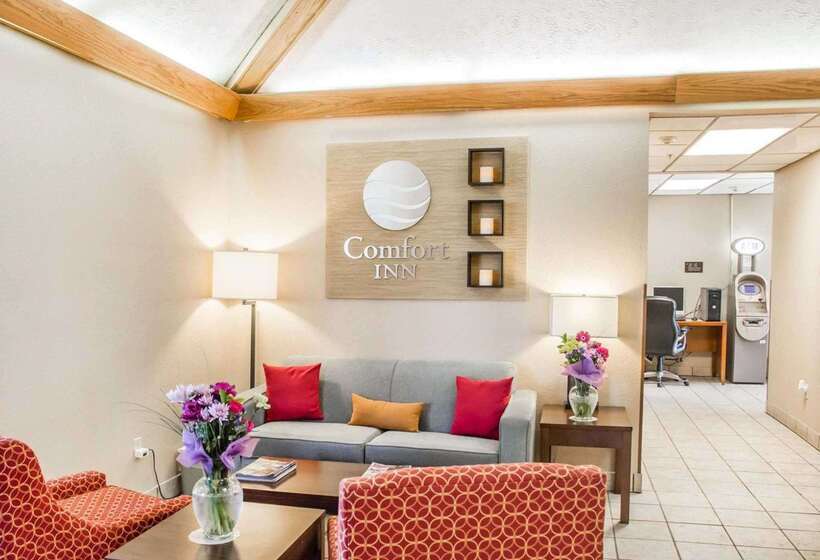 فندق Comfort Inn