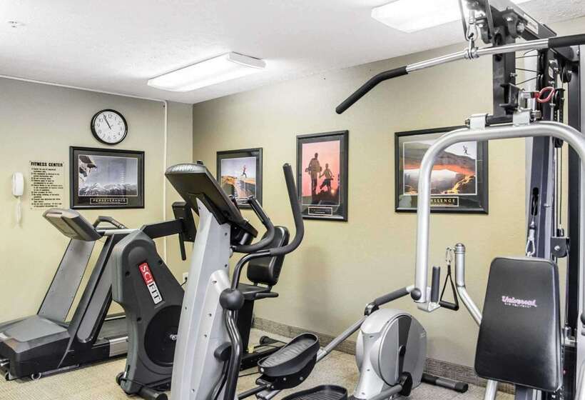 فندق Comfort Inn