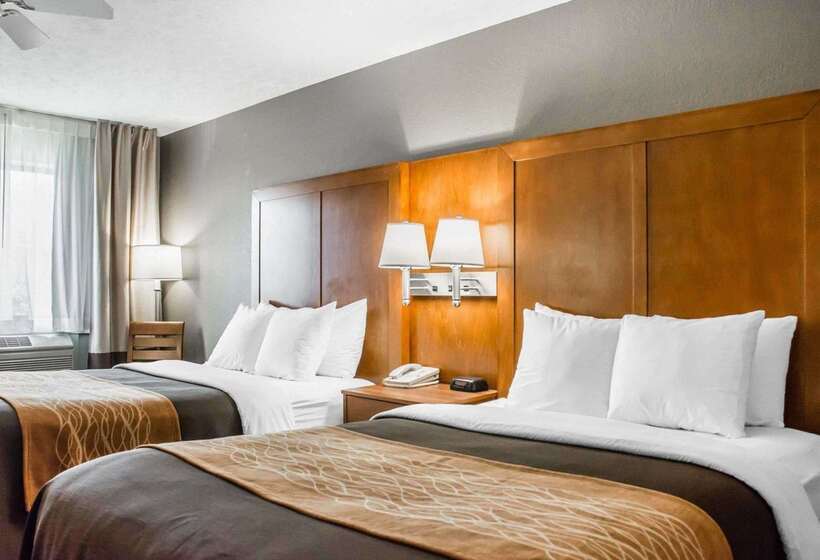 فندق Comfort Inn