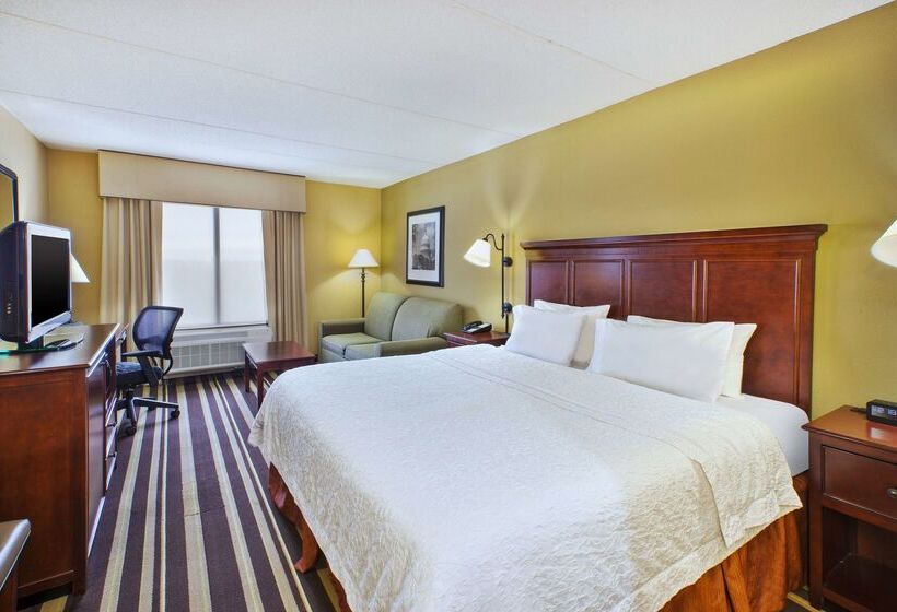 فندق Hampton Inn Washington Dulles Int L Airport South