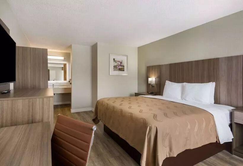 ホテル Quality Inn