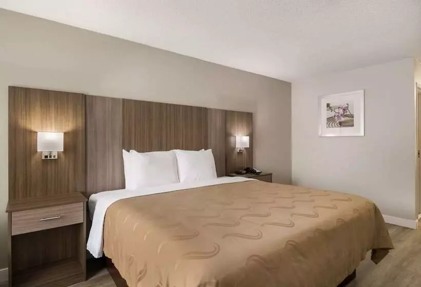 ホテル Quality Inn