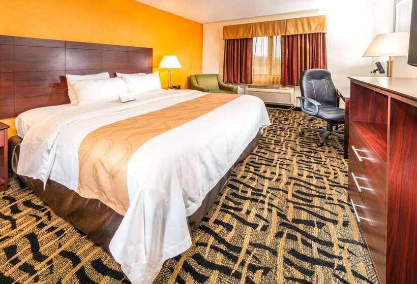 ホテル Quality Inn & Suites