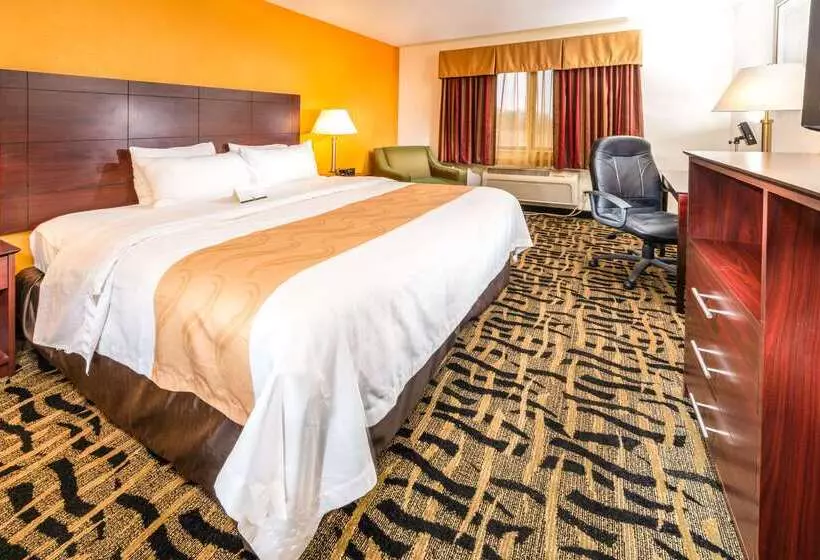 Отель Quality Inn & Suites