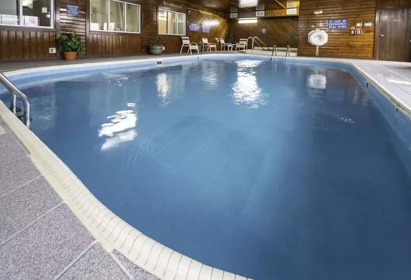 Отель Quality Inn & Suites