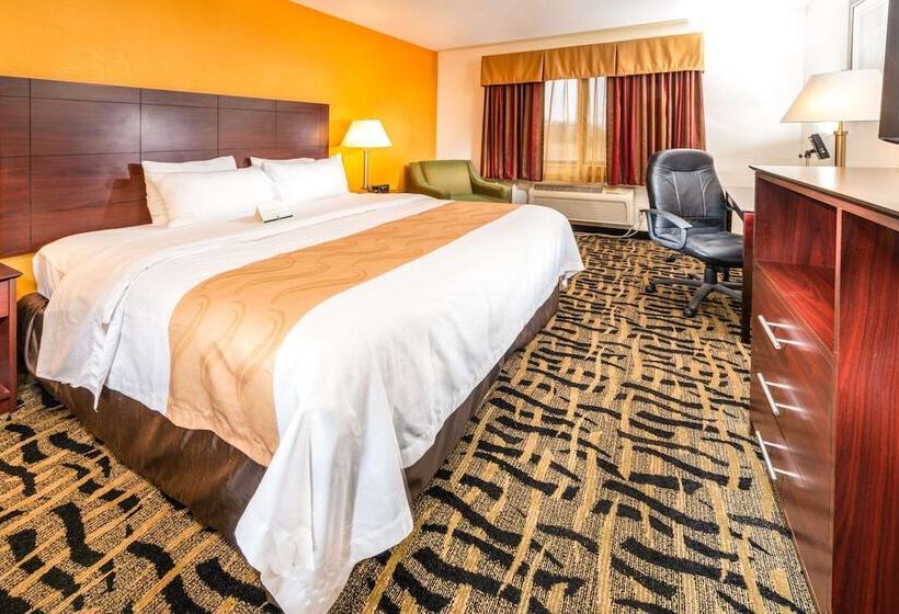 ホテル Quality Inn & Suites