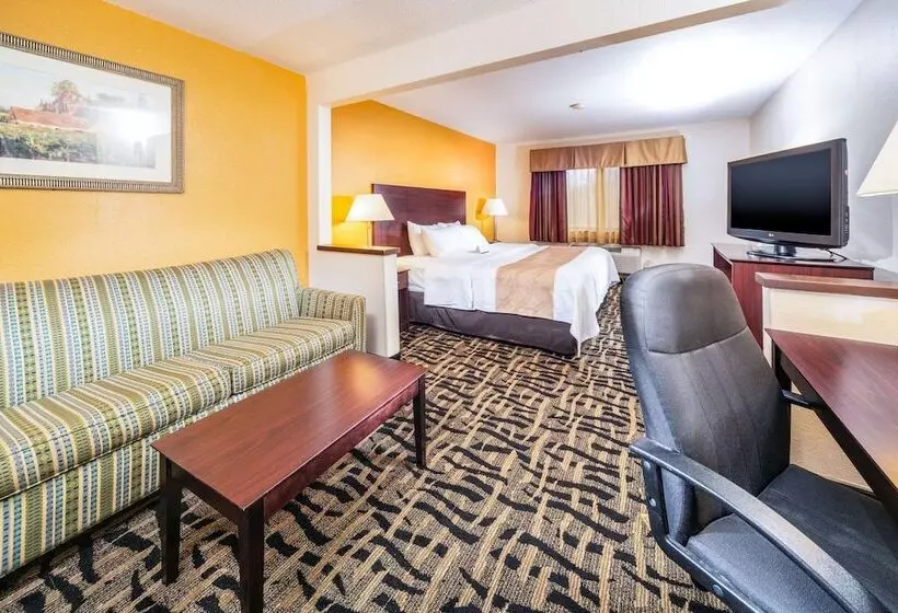 Отель Quality Inn & Suites
