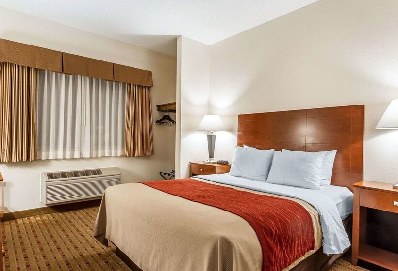 Отель Quality Inn & Suites