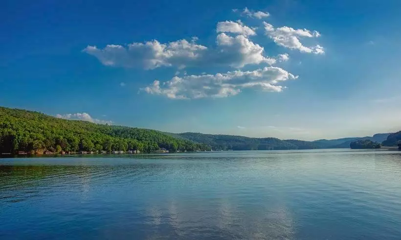 汽车旅馆  Regal Inn Guntersville