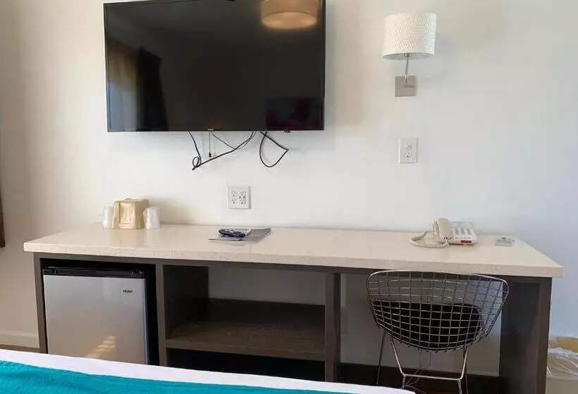 モーテル Sandyland Reef Inn