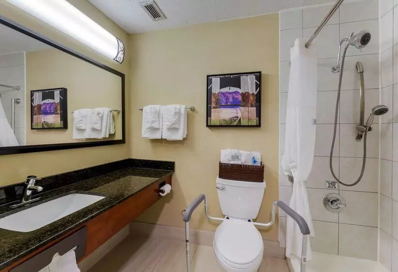 Best Western Plus Wooster Hotel & Conference Center