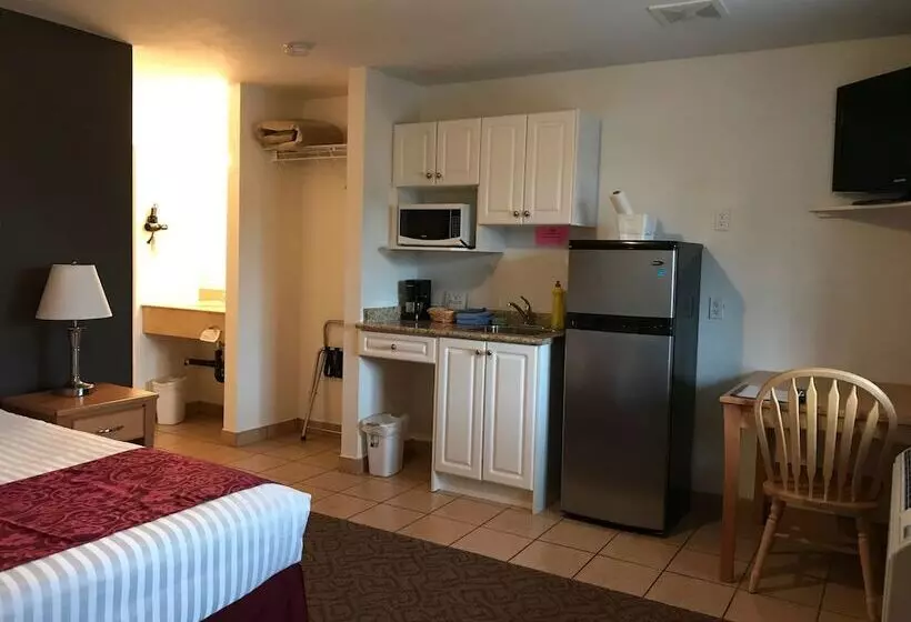 בית מלון כפרי Cactus Tree Inn