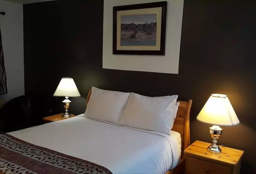 Отель Cactus Tree Inn