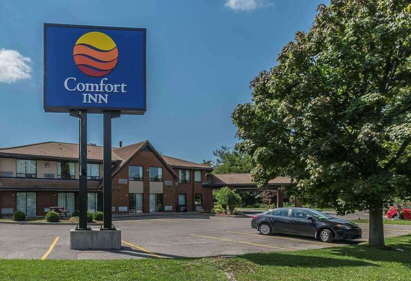 酒店 Comfort Inn Cobourg