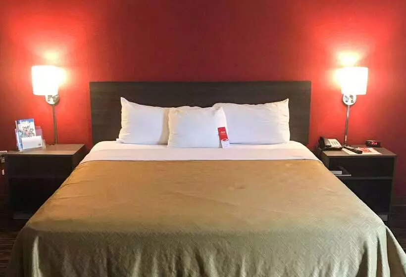 Отель Econo Lodge