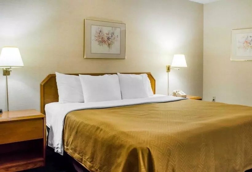 Отель Econo Lodge