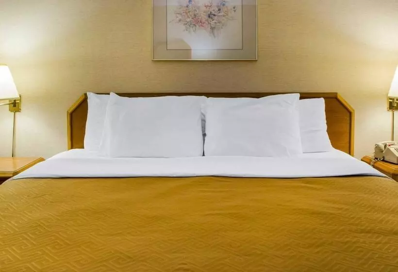 Отель Econo Lodge