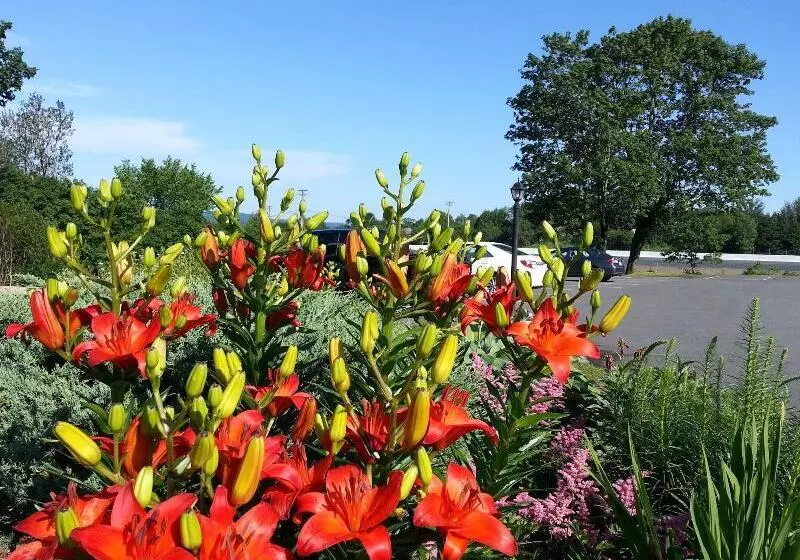 Отель Granite Town