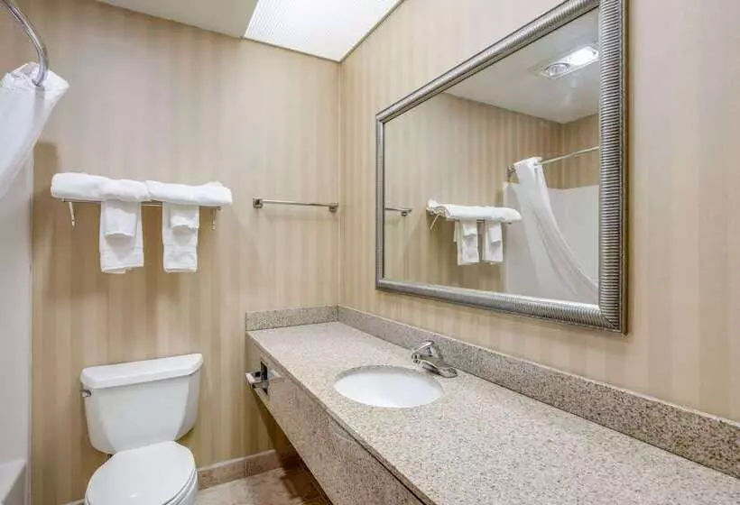 Отель Comfort Suites Stevens Point