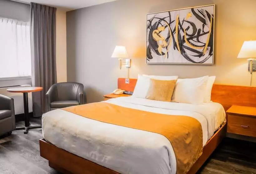 汽车旅馆  Le Voyageur